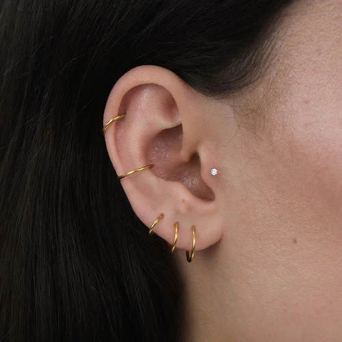 Nose/Cartilage Hoop - Image 2