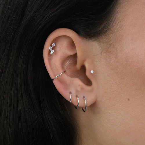 Nose/Cartilage Hoop - Image 4
