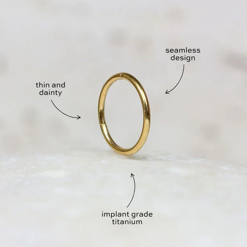 Nose/Cartilage Hoop - Image 5